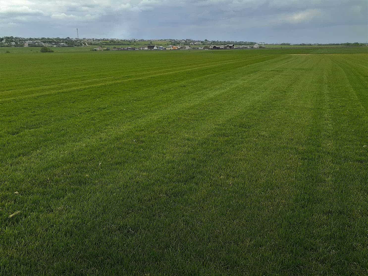 Как измерить участок для точного заказа материалов для газона: Пошаговое руководство