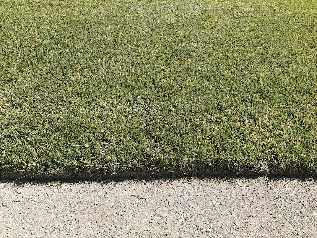 Как подготовить почву с высоким содержанием глины для устройства газона