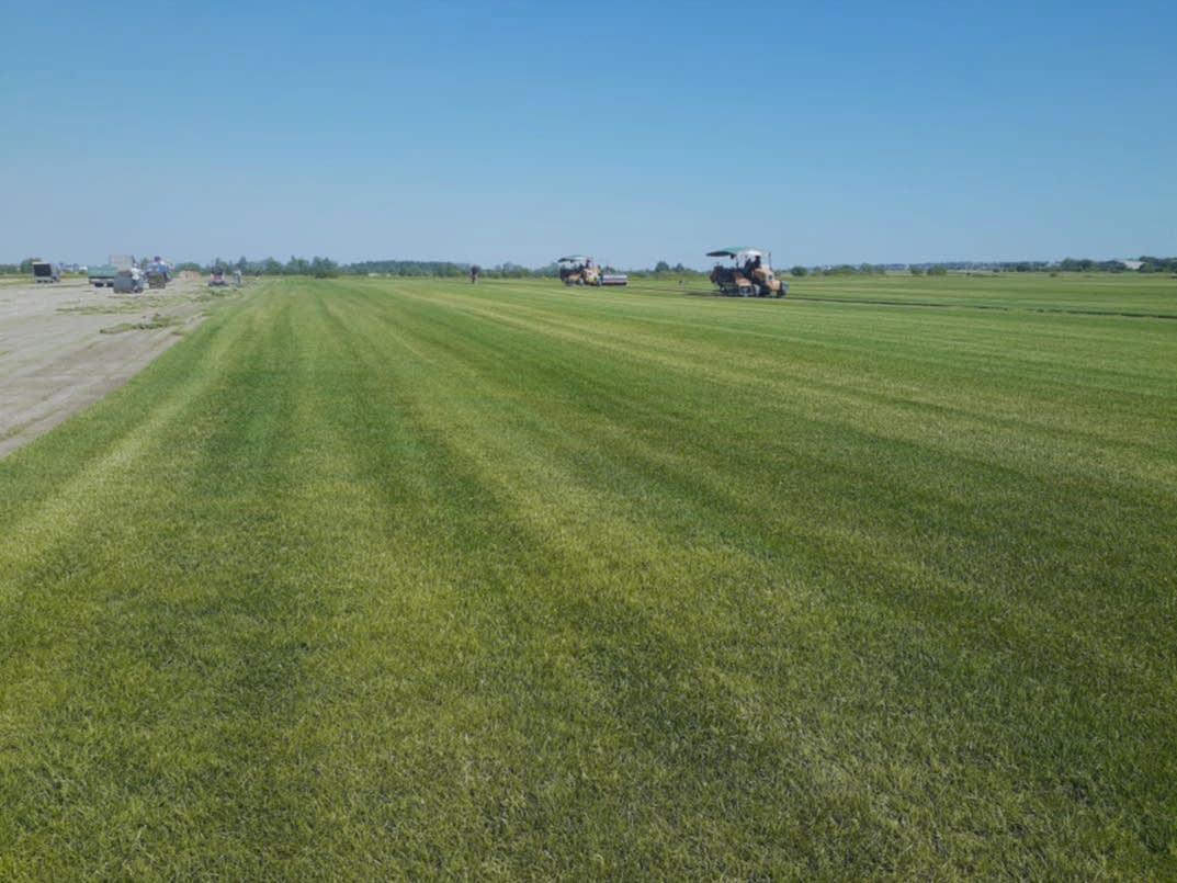 Как избежать образования колец и пятен на новом газоне