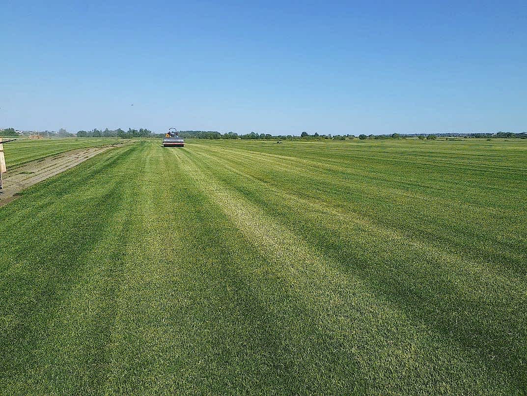 Основные ошибки при укладке рулонного газона: что нужно избегать для достижения идеального результата