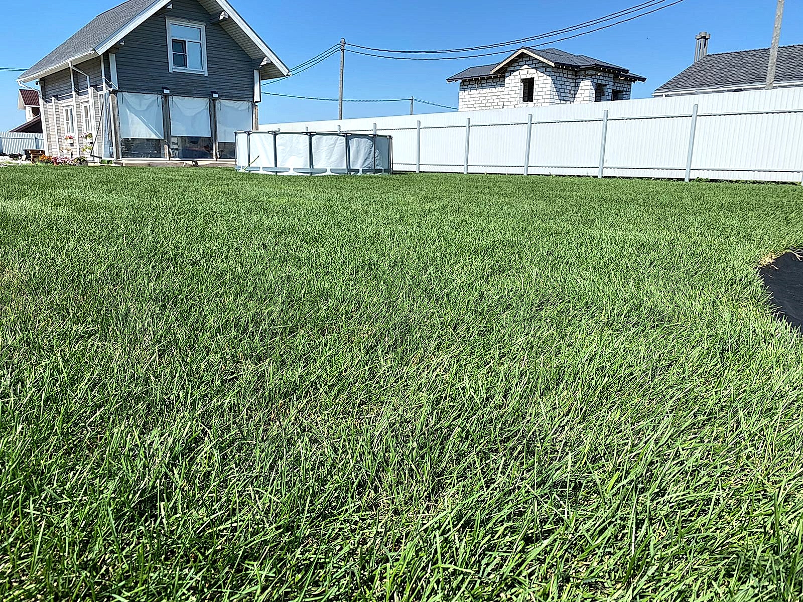 Скидка 20% на рулонный газон при заказе его укладки!