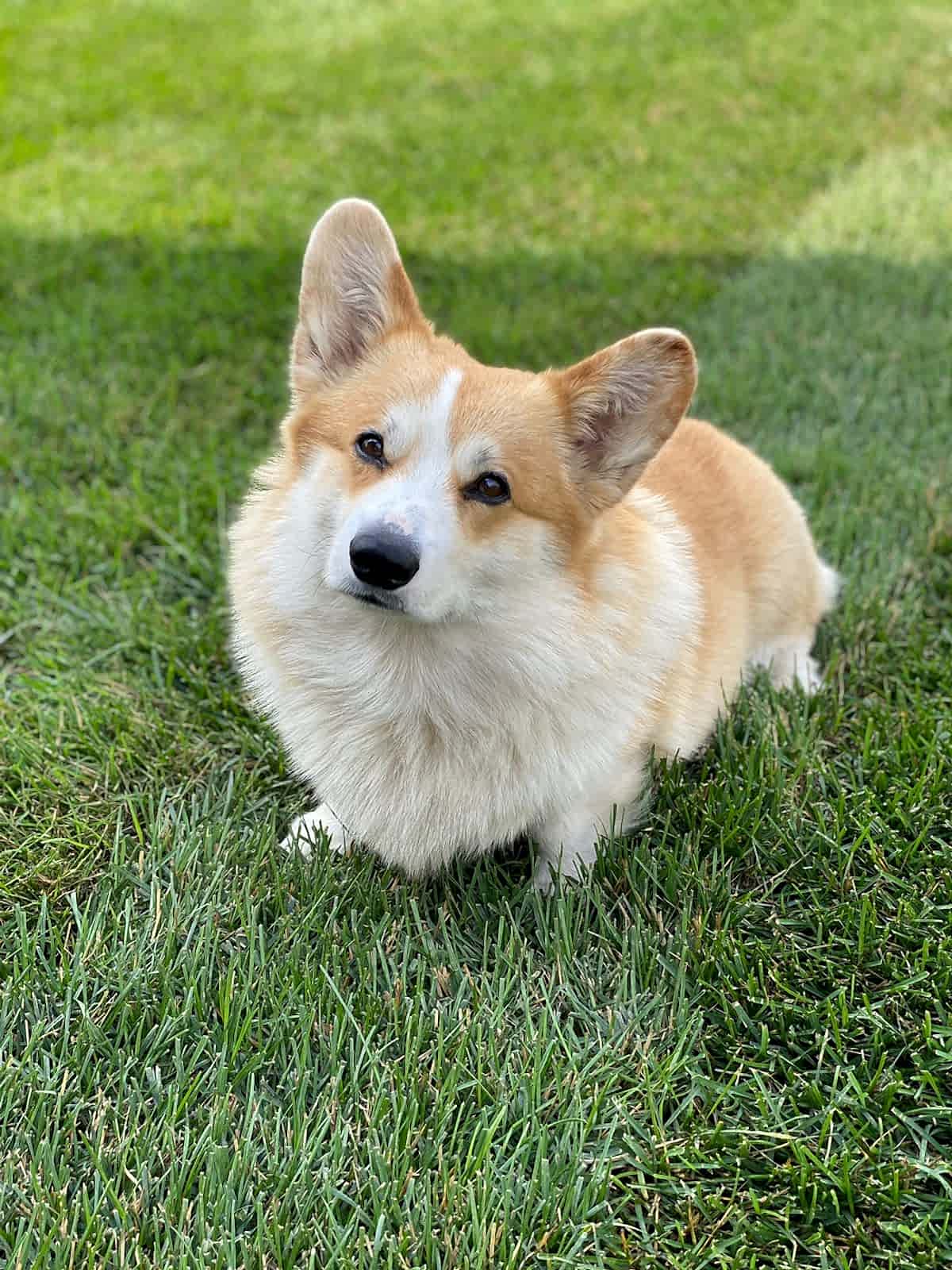 Готовимся к весне: на что обратить внимание?