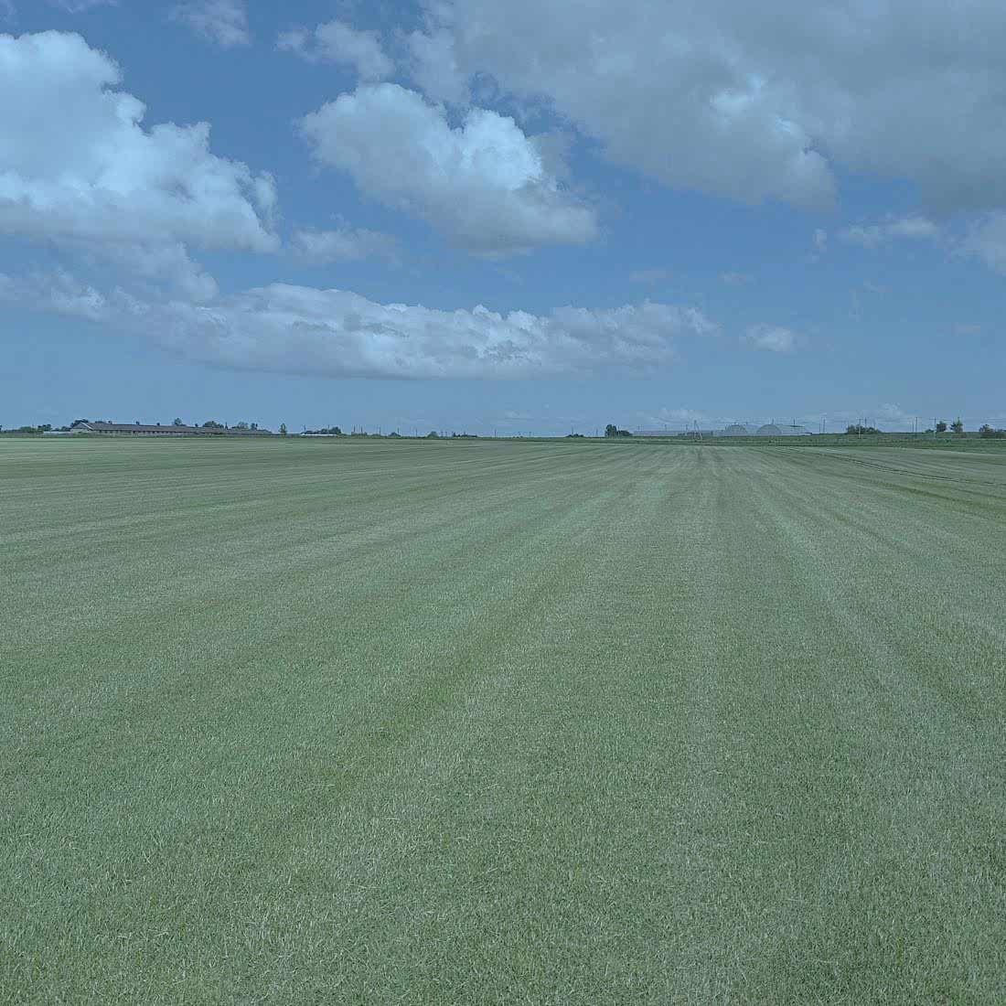 Как подготовить почву с высоким содержанием глины для устройства газона: Эффективные методы улучшения