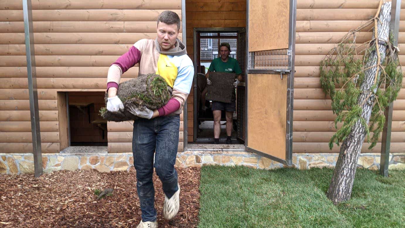 Как правильно подготовить участок под устройство газона: полное руководство