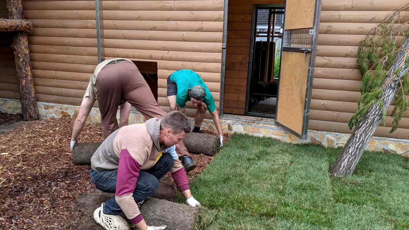 В какое время года лучше всего проводить устройство газона: Оптимальные сезоны для начала работ